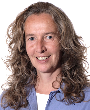 Ilia Kutzner web